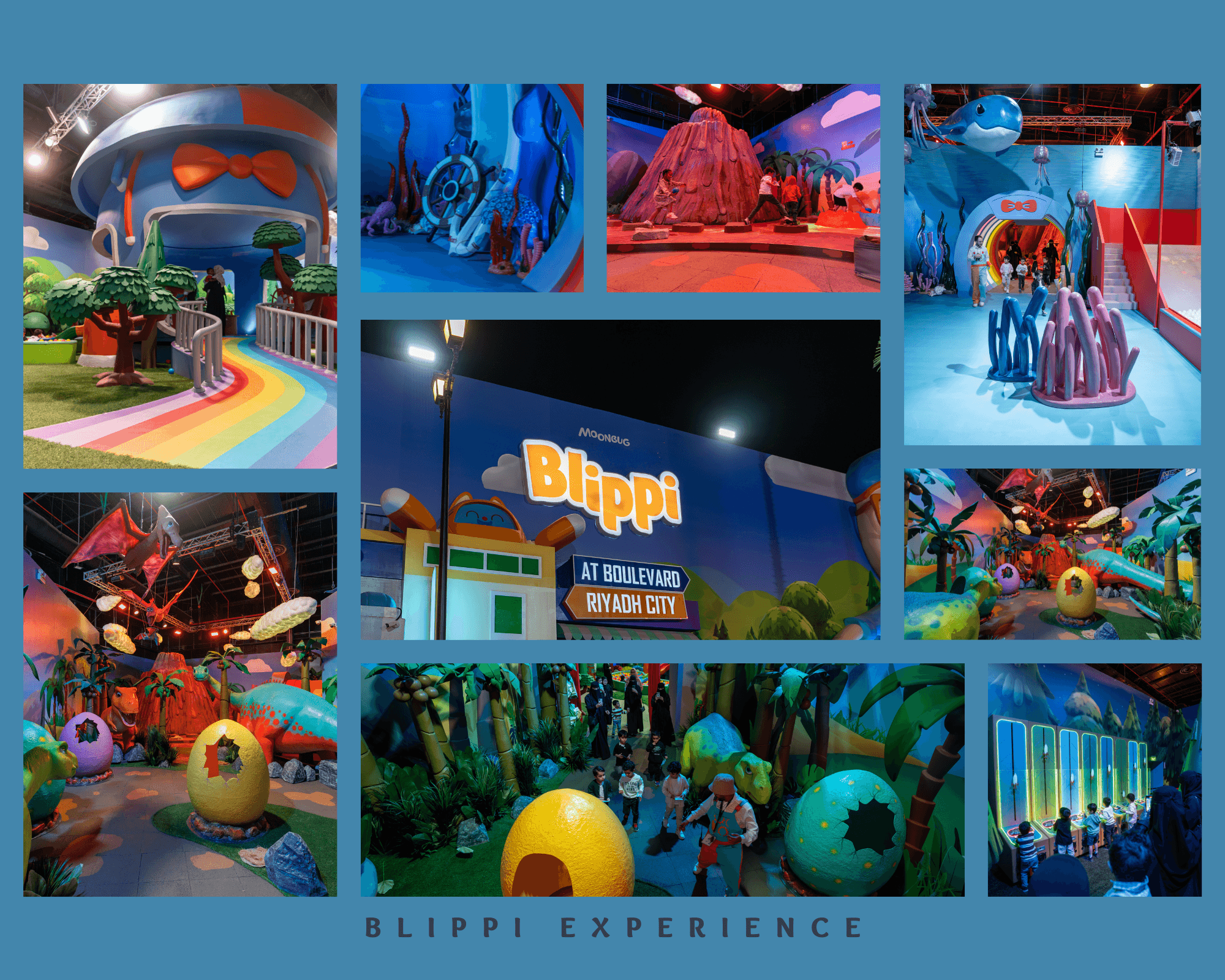 BLIPPI Experience Case Study