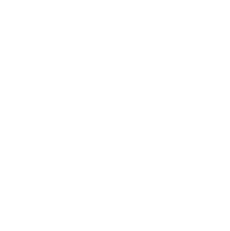 Mattel