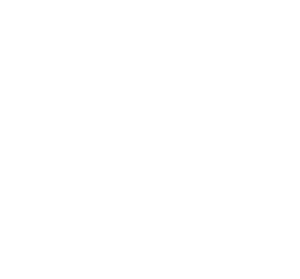 Shawn the Sheep